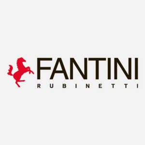 Fanttini – logo